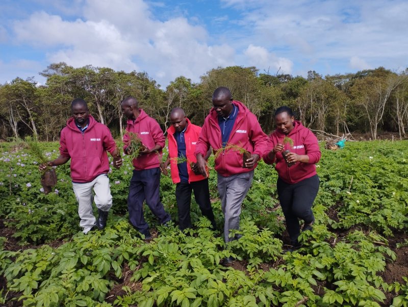 Tree Planting 2023 Kimende